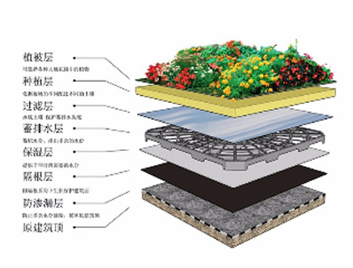 专注于塑料管件研发、生产、设计、销售