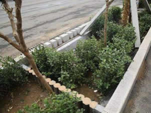 工厂雨水回收利用